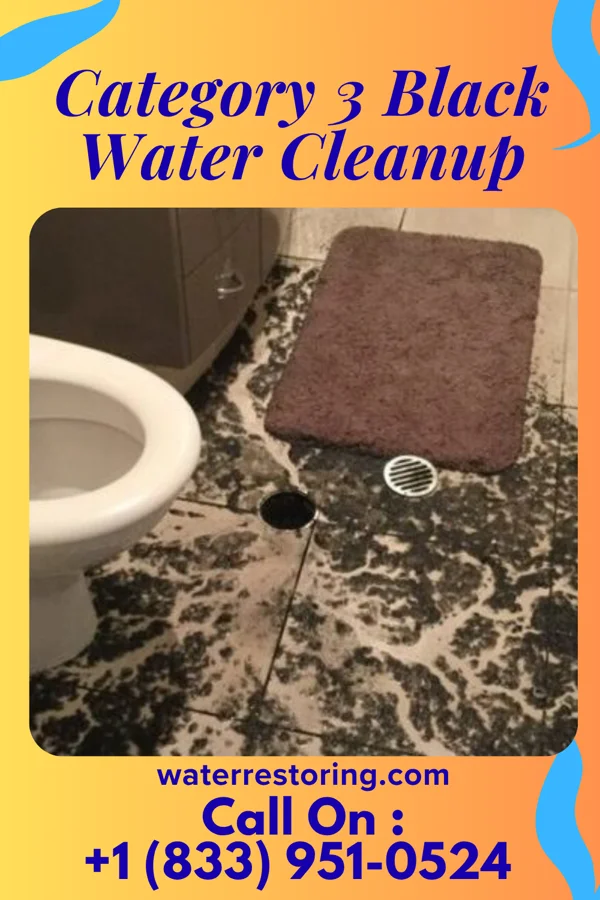 Category 3 Black Water Cleanup in Rocky Boy West, MT