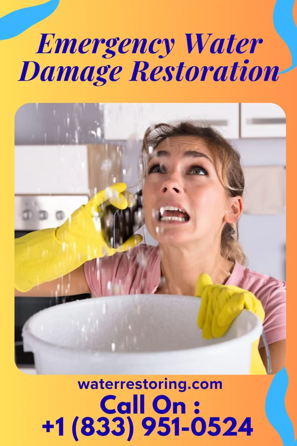 Emergency Water Damage Restoration in Rocky Boy West, MT
